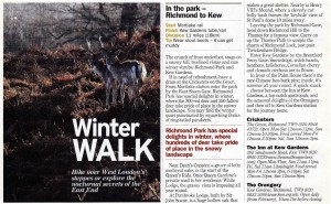 winterwalk